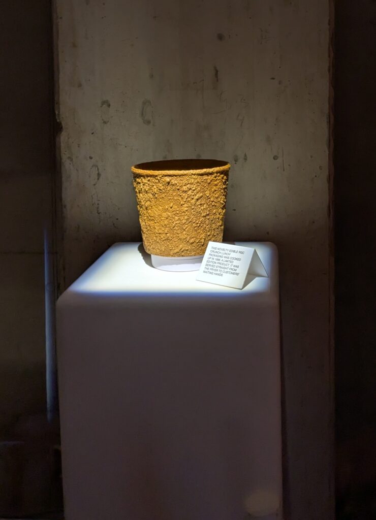 PXL_20250903_110030749.RAW-01.COVER