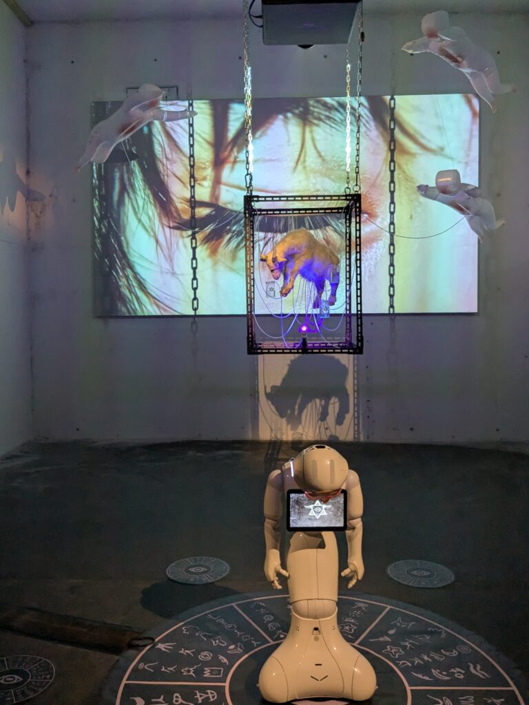 PXL_20250903_110440659.RAW-01.COVER