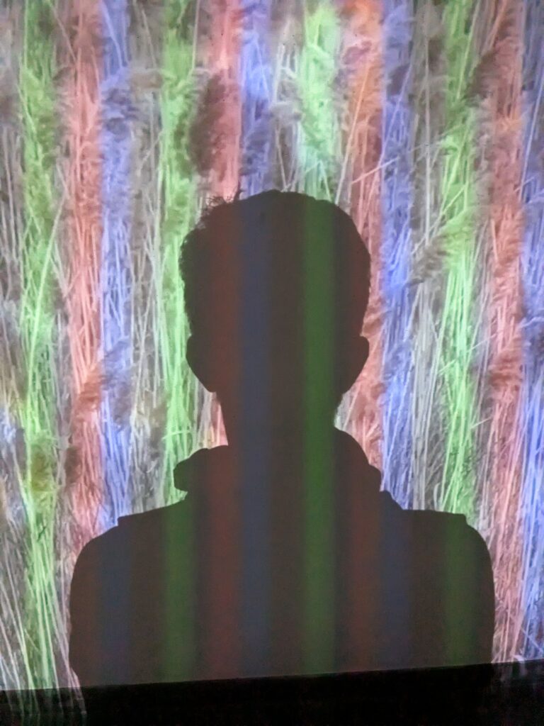 PXL_20250903_115007951.RAW-01.COVER