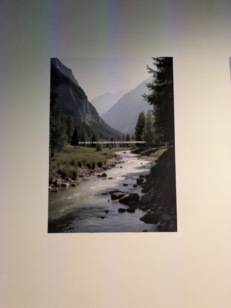 PXL_20250903_115558033.RAW-01.COVER