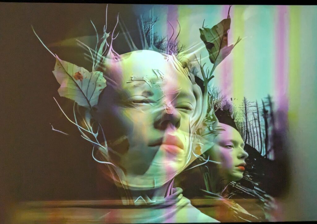 PXL_20250904_103923531.RAW-01.COVER